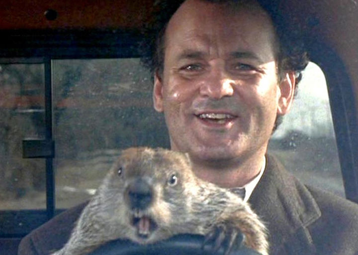 'Groundhog Day'